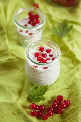 Chia-Kokosnuss-Pudding mit roten Johannisbeeren, lizenzfreies Stockfoto