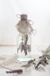 Lavender vinegar, lavender blossoms with white wine vinegar - SBDF001147