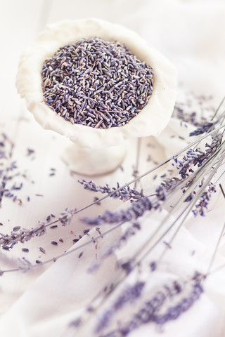 Lavendel, lizenzfreies Stockfoto