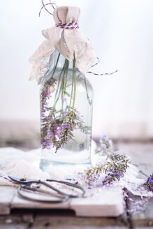 Lavendelessig, Lavendelblüten mit Weißweinessig - SBDF001154