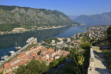 Montenegro, Crna Gora, Blick über die Altstadt und die Bucht von Kotor - ES001342