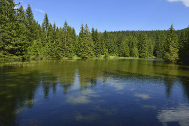 Montenegro, Crna Gora, Otoka-Fluss im Durmitor-Nationalpark - ES001345