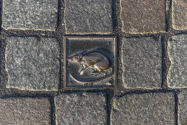 Germany, Lower Saxony, Hameln, cobblestone with rat - PVCF000083