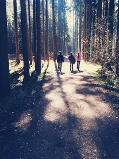 Hikers in forest, Aying, Bavaria, Germany - BRF000613