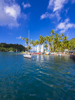 Caribbean, St. Lucia, Marigot Bay, sailing yachts - AMF002672