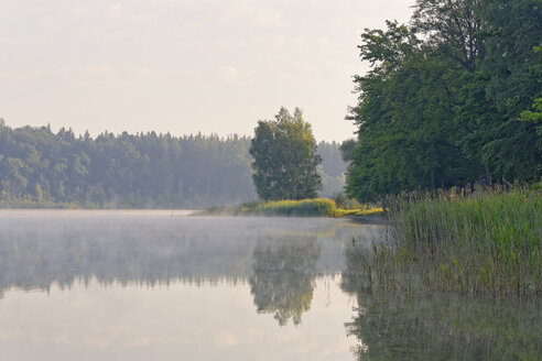 Germany, Bavaria, Prutting, Lake Hoefstaett - SIEF005838