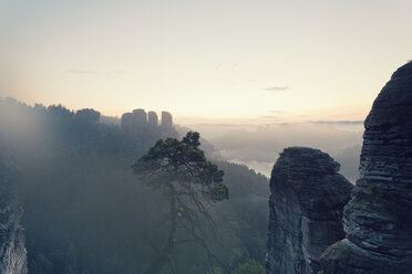 Deutschland, Sachsen, Morgennebel im Elbsandsteingebirge - MSF004106