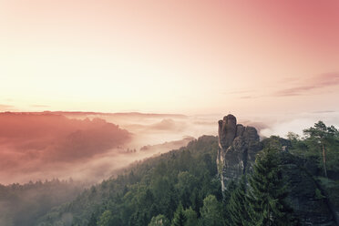 Deutschland, Sachsen, Morgennebel im Elbsandsteingebirge - MSF004108