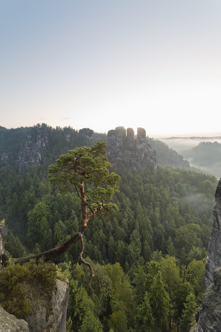 Deutschland, Sachsen, Blick auf Gansfels am Elbsandsteingebirge, lizenzfreies Stockfoto