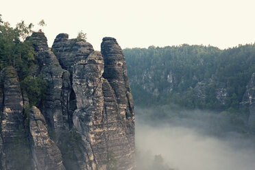 Deutschland, Sachsen, Morgennebel im Elbsandsteingebirge - MSF004110