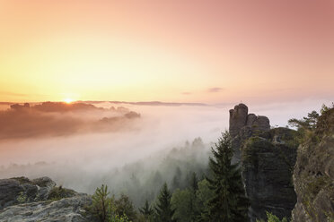 Deutschland, Sachsen, Elbsandsteingebirge, Blick auf Talwaechter und Verlorener Turm im Morgennebel - MSF004112