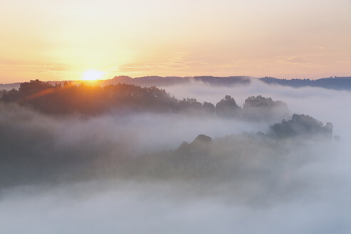 Germany, Saxony, morning mist at Elbe Sandstone Mountains - MSF004113