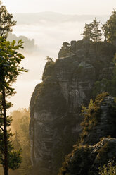 Germany, Saxony, morning mist at Elbe Sandstone Mountains - MSF004130