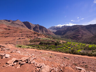 Marokko, Marrakesch-Tensift-El Haouz, Atlasgebirge, Dorf Anammer, Ourika-Tal - AM002704