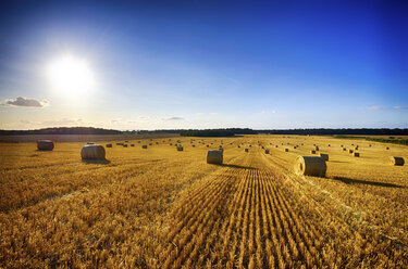 United Kingdom, Scotland, East Lothian, Field, Harvest, Hay Bales - SMAF000241