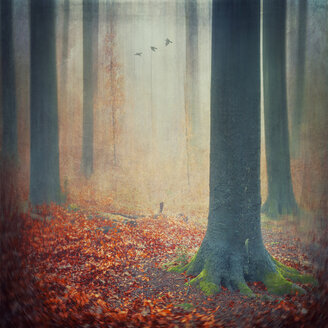 Herbstwald mit rotem Laub auf dem Boden, digitale Bearbeitung - DWI000151