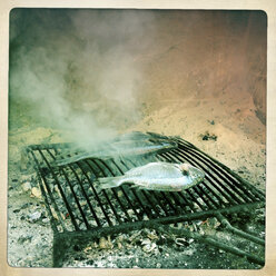 Grilled fish, Croatia, Mljet - DISF000946