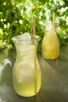 Grüner Sencha-Tee in einem Teeglas mit Zitronengras - CSTF000392