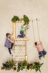 Kinder spielen im Baumhaus - BAEF000738