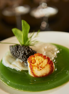 Scallop with caviar and kiwi jelly on plate - KMF001416