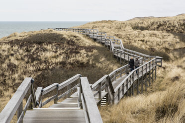 Germany, Schleswig-Holstein, Sylt, Wooden boardwalk through dunes - SRF000775