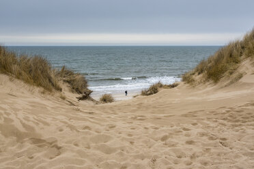 Deutschland, Schleswig-Holstein, Sylt, Stranddüne - SRF000776