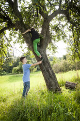 Boy helping his friend to climb down a tree - PAF000858