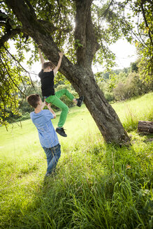Junge hilft seinem Freund, einen Baum herunterzuklettern - PAF000881