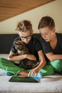 Zwei Jungen sitzen auf einem Bett mit einer Katze und benutzen ein digitales Tablet - PAF000884
