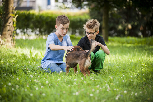 Zwei Jungen, die mit ihrem Hund auf einer Wiese kauern - PAF000887