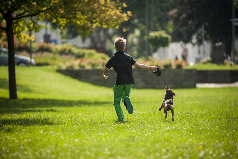 Boy running with his dog on a meadow stock photo