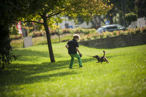 Junge spielt mit seinem Hund auf einer Wiese, lizenzfreies Stockfoto