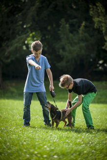Zwei Jungen spielen mit ihrem Hund auf einer Wiese - PAF000867