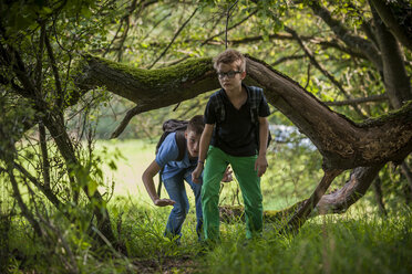 Zwei Jungen erkunden einen Wald - PAF000869
