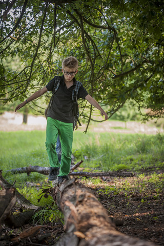 Junge balanciert auf einem Totholz, lizenzfreies Stockfoto