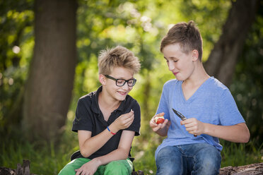 Two boys sitting on a tree trunk cutting an apple with a pocket knife - PAF000872