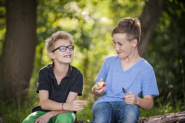 Zwei Jungen sitzen auf einem Baumstamm und essen einen Apfel - PAF000873