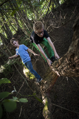 Two boys balancing on a deadwood in the forest stock photo