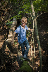 Junge balanciert auf einem Totholz im Wald - PAF000875