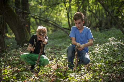 Two boys chopping branches with axes in a forest stock photo