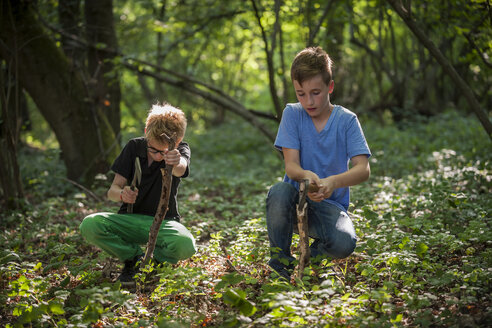 Zwei Jungen hacken Äste mit Äxten in einem Wald - PAF000876