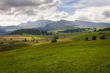 Italien, Südtirol, Dolomiten, Seiser Alm, Hochgebirgswiese - RJF000259