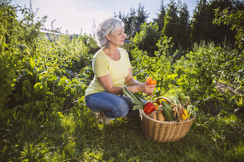 Deutschland, Nordrhein-Westfalen, Bornheim, Ältere Frau mit Gemüsekorb im Garten, lizenzfreies Stockfoto