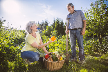 Deutschland, Nordrhein-Westfalen, Bornheim, Älteres Ehepaar mit Gemüsekorb im Garten - MFF001220