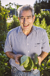 Germany, Northrhine Westphalia, Bornheim, Senior man holding cucumbers and savoy cabbage - MFF001225