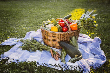 Germany, Northrhine Westphalia, Bornheim, Vegetable basket on blanket in garden - MFF001232