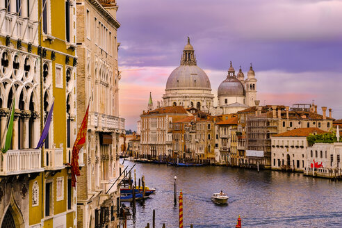 Italien, Venedig, Santa Maria della Salute - APF000008