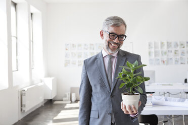 Portrait of smiling businessman looking at flower pot in an office - RBF001881