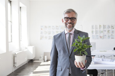 Portrait of smiling businessman with flower pot in an office - RBF001882