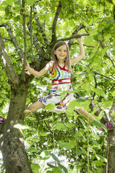 Kleines Mädchen klettert auf einen Baum im Garten - SARF000787